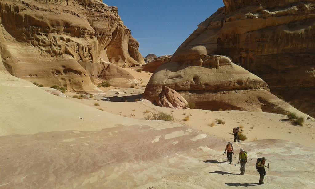 Hotel Salem Camp Wadi Rum Exterior foto