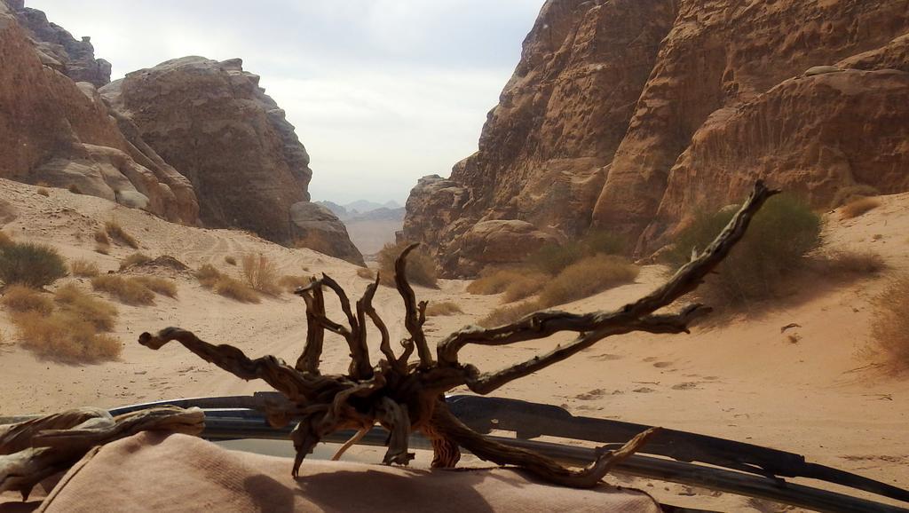 Hotel Salem Camp Wadi Rum Exterior foto